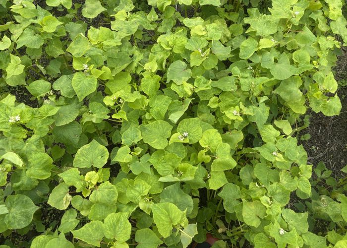  at Waimate Highway, Saint Andrews, Waimate, Canterbury