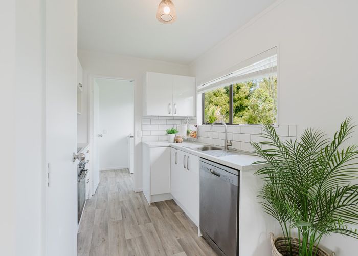  at 8A Park Terrace, Hamilton City Central, Hamilton, Waikato