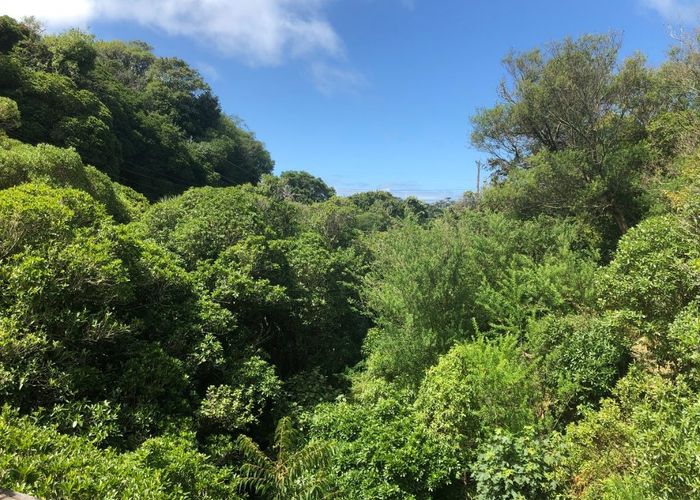  at 17 Awarua Street, Ngaio, Wellington