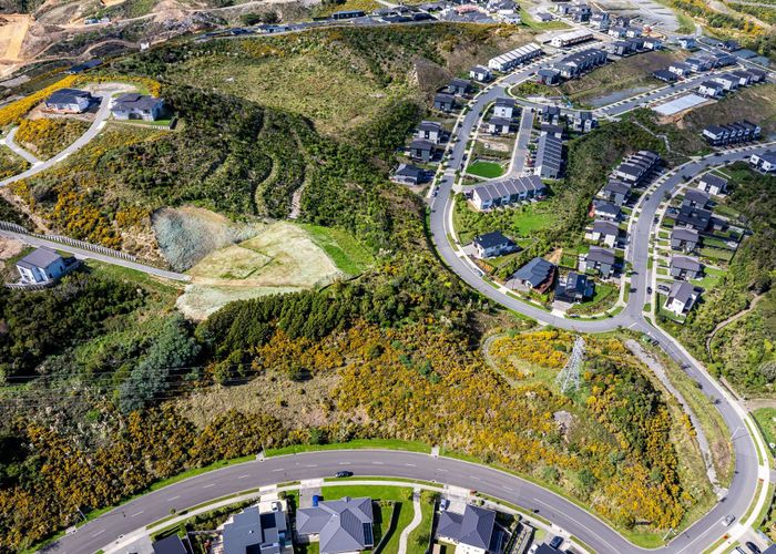  at Lot 125 Camber Dr, Whitby, Porirua, Wellington