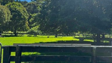  at 1223 Pohangina Road, Pohangina, Ashhurst