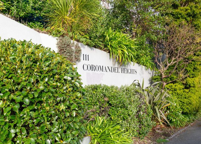  at 3/111 Coromandel Street, Newtown, Wellington, Wellington
