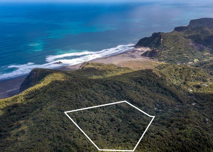 For sale 22 Waikarekare Lane, Karekare, Waitakere City, Auckland