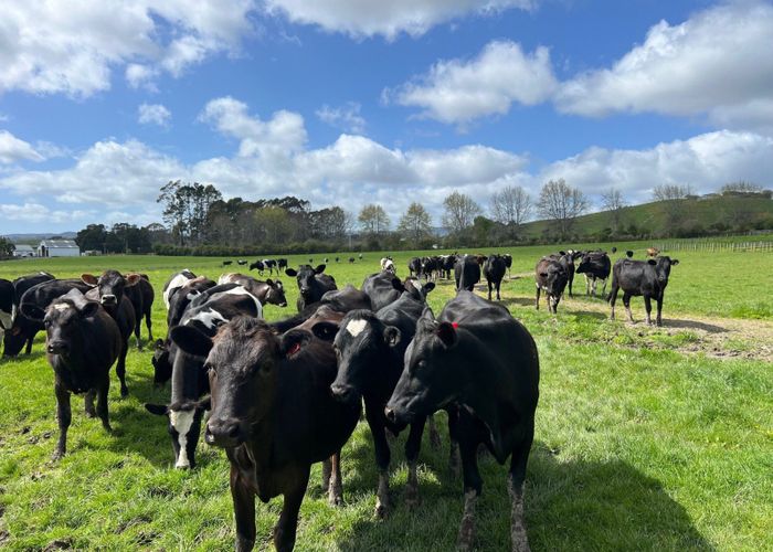  at 278 Clevedon Kawakawa Road, Clevedon, Manukau City, Auckland