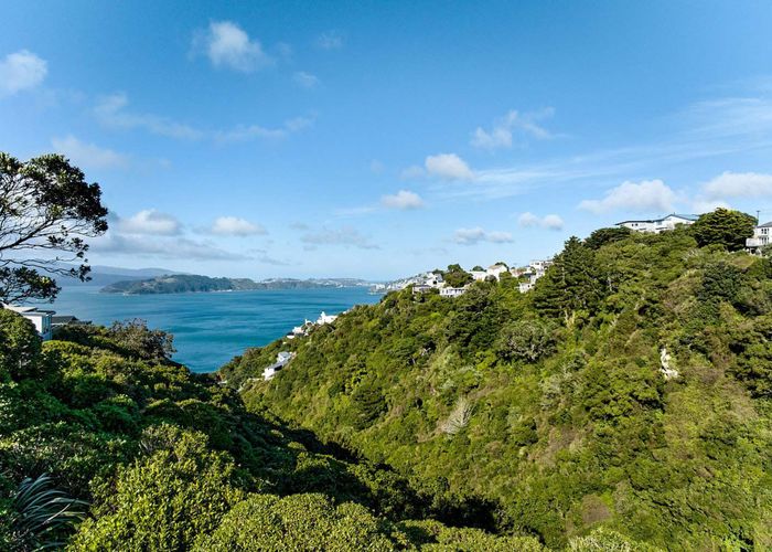  at 55 Lohia Street, Khandallah, Wellington