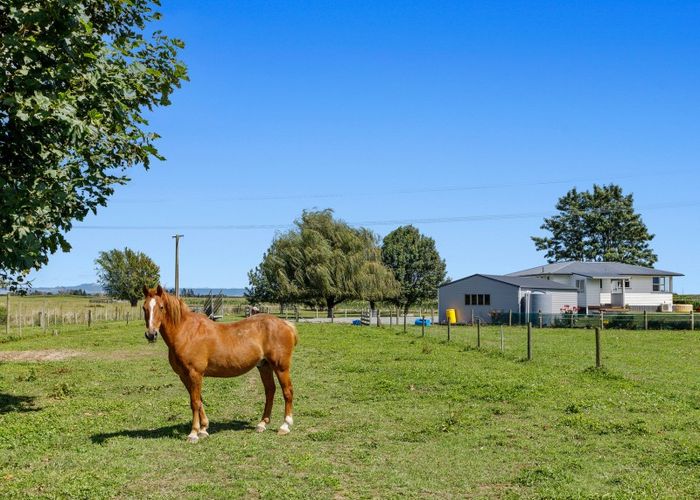  at 99 Selwyn Road, Poroporo, Whakatane