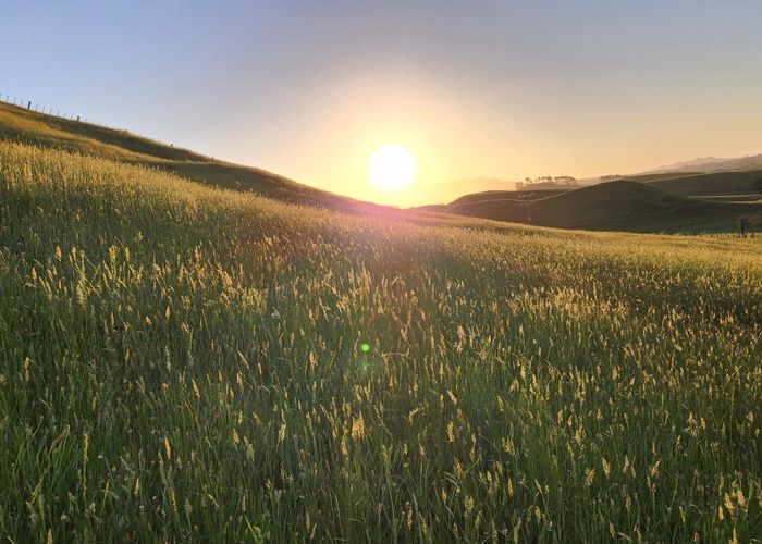  at 964 Tarata Road, Inglewood, New Plymouth, Taranaki