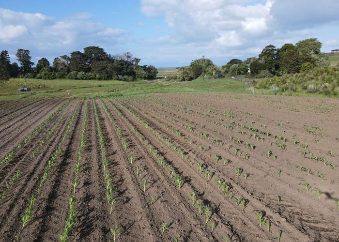  at 927 Findlay Road, Paeroa, Hauraki, Waikato