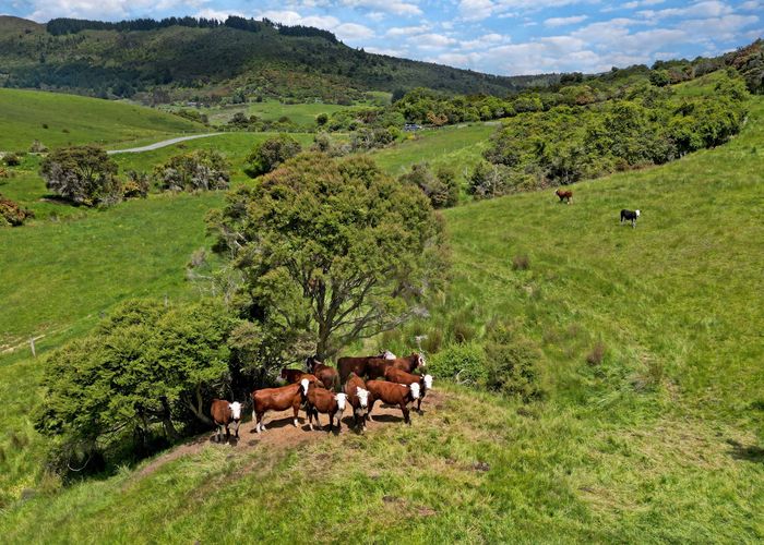  at 304B Pigeon Flat Road, Mt Cargill, Dunedin, Otago