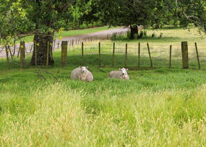  at 263 Old Coach Road, Paengaroa, Western Bay Of Plenty, Bay Of Plenty