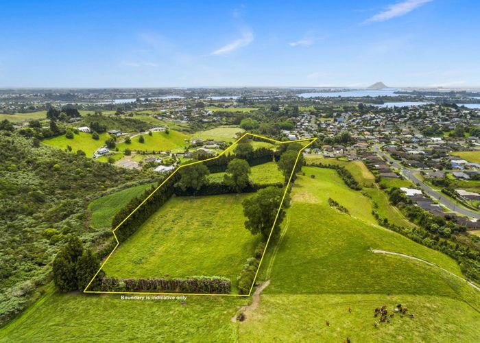  at 24 Eagle Street, WELCOME BAY, TAURANGA
