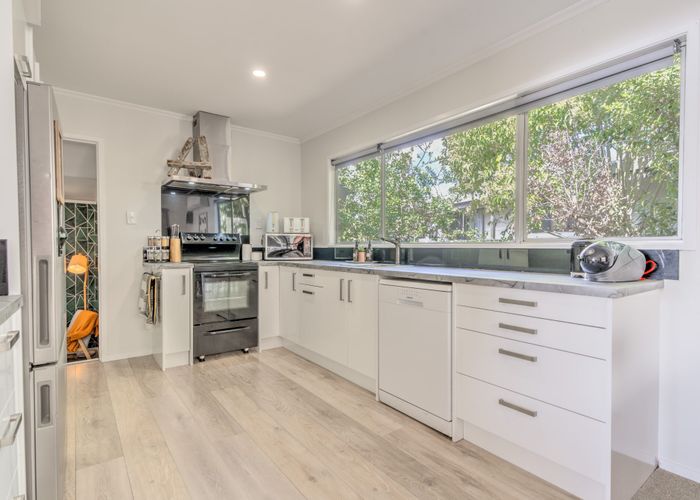  at 56 Hazelwood Avenue, Dinsdale, Hamilton