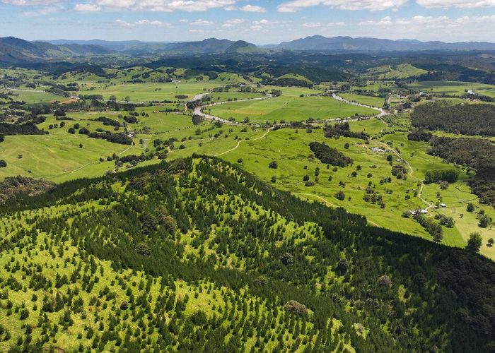  at 0 Pukehuia Road, Tangiteroria, Kaipara, Northland