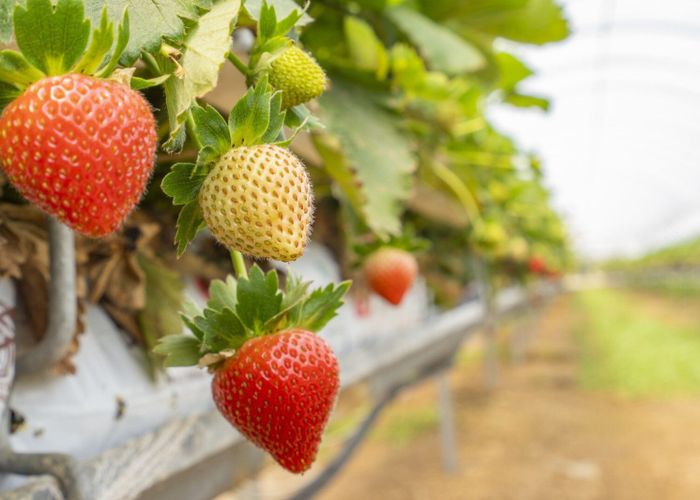  at Thurley Place, Bay View, Napier, Hawke's Bay