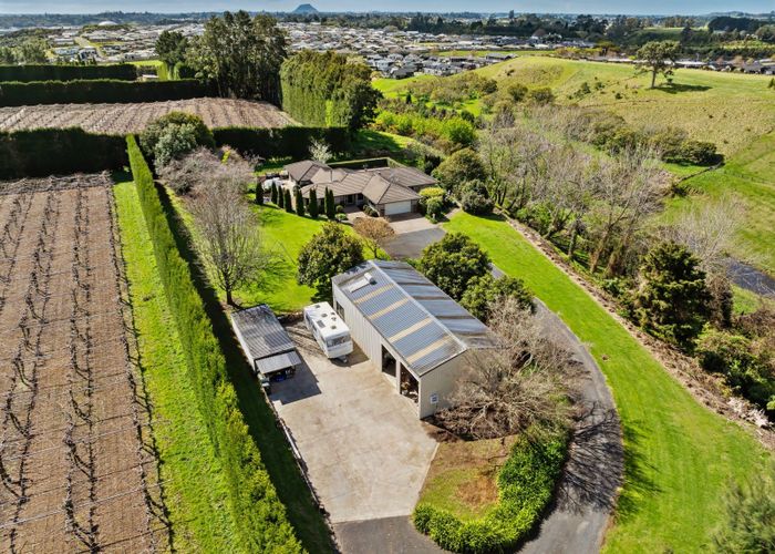 at 186 Keenan Road, Pyes Pa, Tauranga, Bay Of Plenty