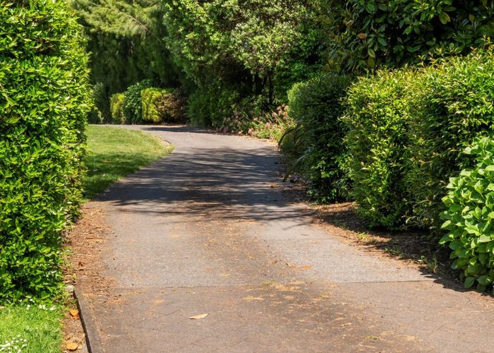  at 56 Westridge Drive, Tauriko, Tauranga