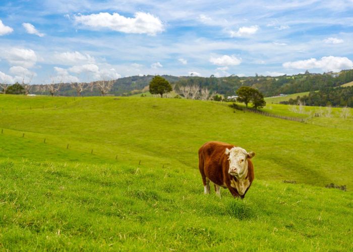  at 140 Te Arai Point Road, Te Arai, Rodney, Auckland