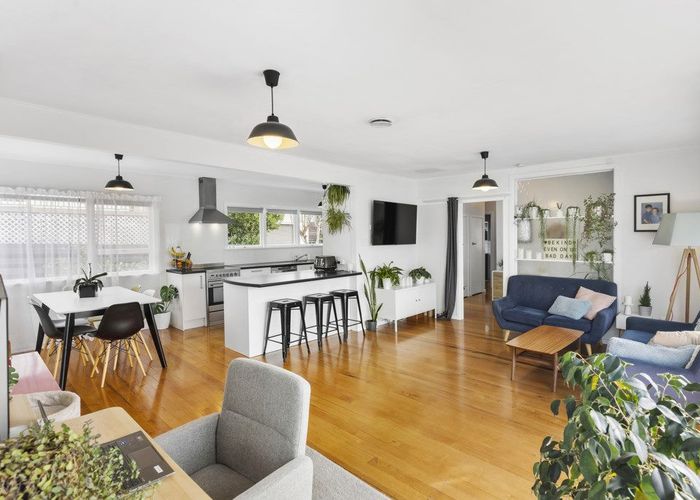  at 101 Hendry Avenue, Hillsborough, Auckland