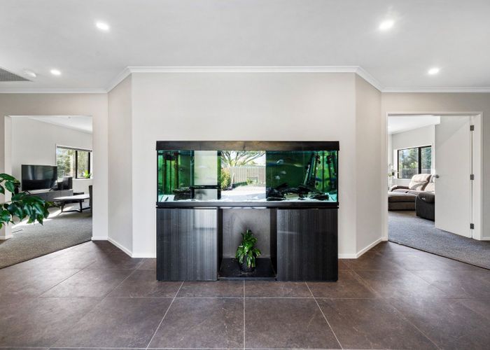  at 254 Riverbend Road, Meeanee, Napier, Hawke's Bay