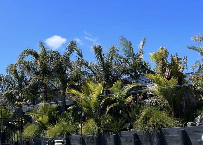  at 14 Will Street, Huapai, Rodney, Auckland