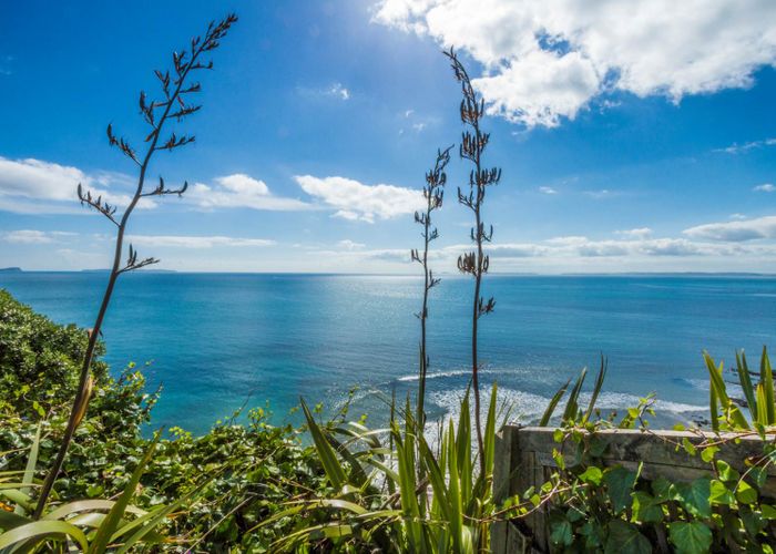  at 62 Cliff Road, Torbay, Auckland