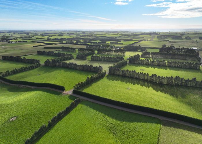  at 318 Waipango Ermedale Road, Thornbury, Southland, Southland