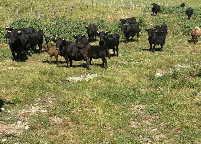  at 354 Paraite Road, Bell Block, New Plymouth, Taranaki