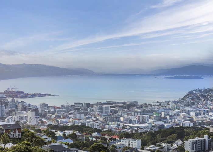  at 169 Karepa Street, Brooklyn, Wellington