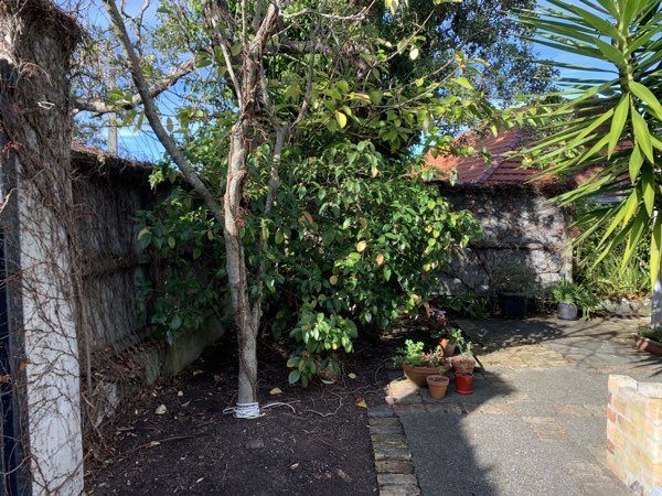  at 2/23 Ayr Street, Parnell, Auckland City, Auckland
