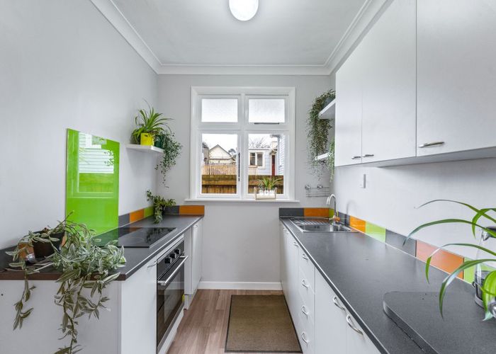  at 53 Stevenson Avenue, Sawyers Bay, Port Chalmers