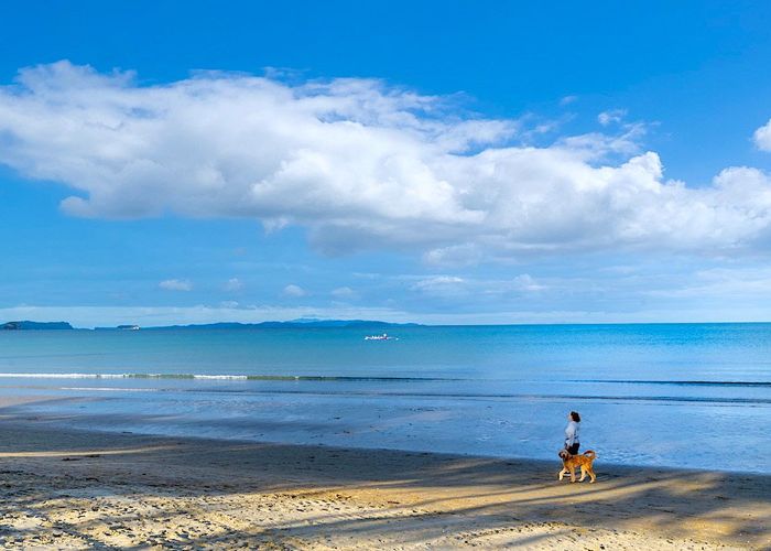  at 236 Hibiscus Coast Highway, Orewa, Orewa