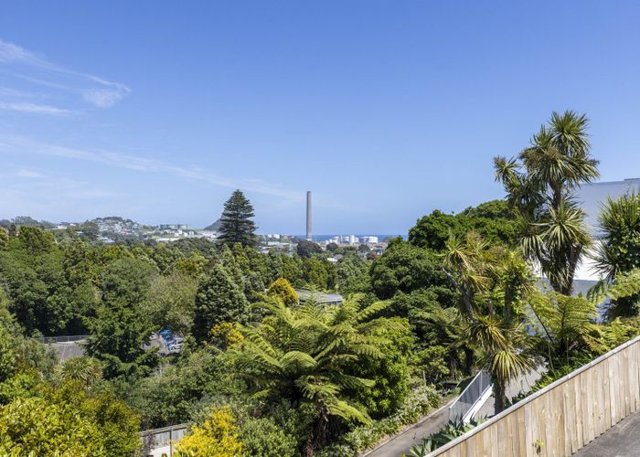  at 380 Devon Street West, Lynmouth, New Plymouth, Taranaki