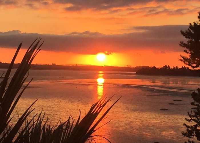  at 10 Elana Court, Conifer Grove, Papakura, Auckland