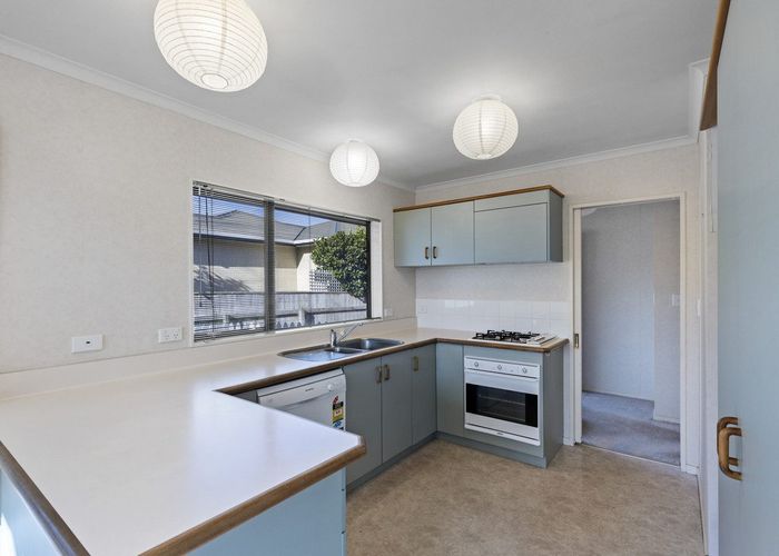  at 110 Pahiatua Street, Hokowhitu, Palmerston North, Manawatu / Whanganui