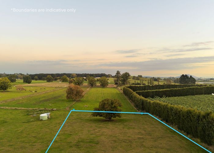  at 55 Forkert Road, Ohaupo, Waipa, Waikato