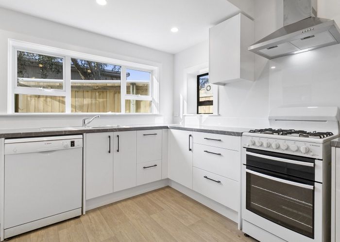  at 93 Daniell St, Newtown, Wellington, Wellington
