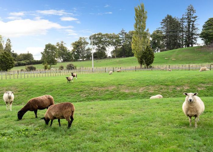  at 16 Waipuna Road, Waerenga