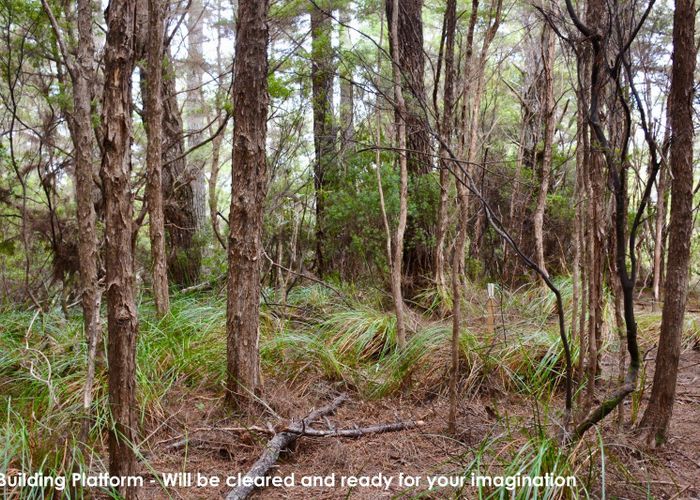  at Lot 5, 131b Paul Road, Tairua, Thames-Coromandel, Waikato