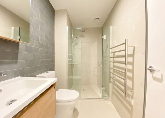  at 223/428 Dominion Road, Mount Eden, Auckland City, Auckland