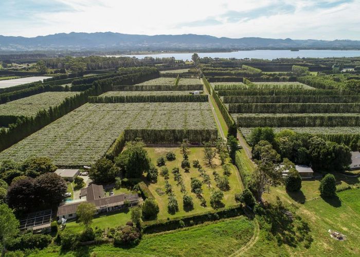  at 380B Matahui Road, Aongatete, Katikati