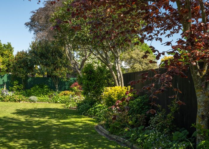  at 44 Westhaven Place, Redwoodtown, Blenheim