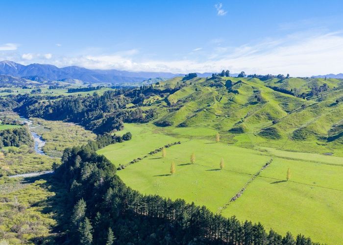  at 1139 Blackburn Road, Ongaonga, Central Hawke's Bay, Hawke's Bay