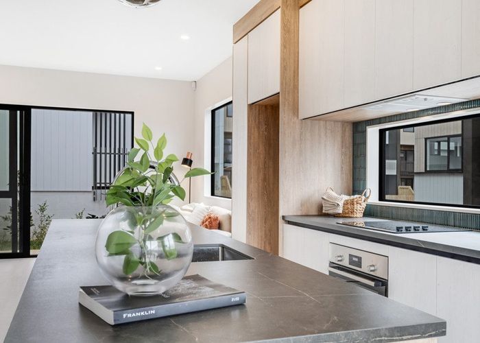  at 17 Tahepuia Lane, Mount Wellington, Auckland City, Auckland