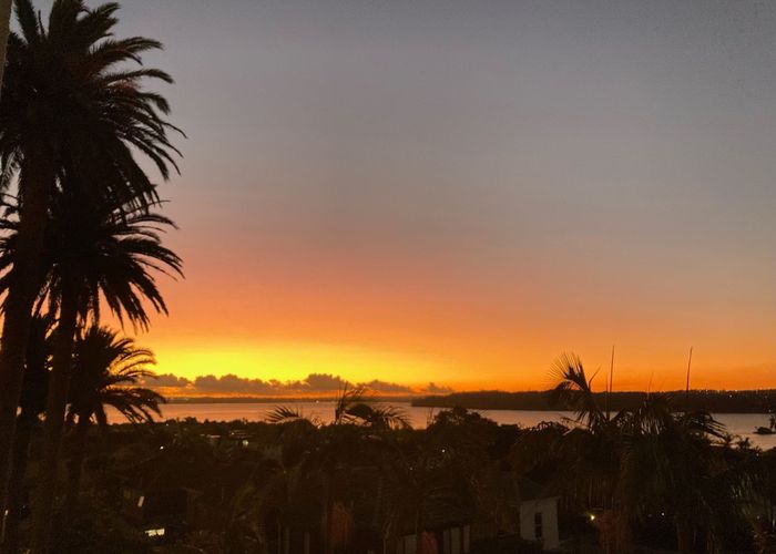  at 13/3 Hamilton Road, Herne Bay, Auckland City, Auckland