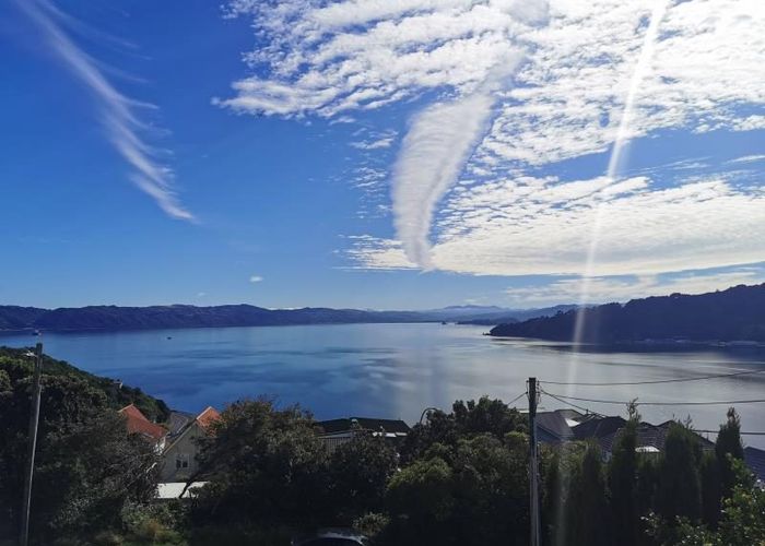  at 105a Te Anau Road, Hataitai, Wellington, Wellington