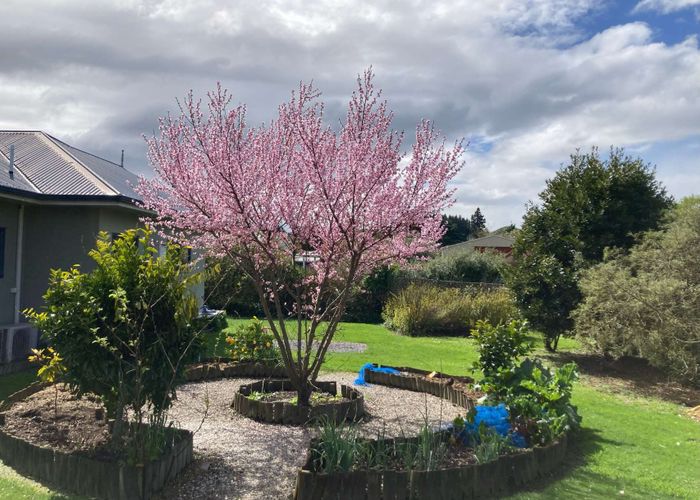  at 20 Paraekaretu Street, Hunterville, Rangitikei, Manawatu / Whanganui
