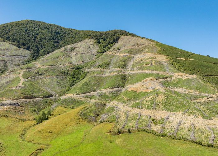  at Tunakino Valley, Rai Valley, Marlborough, Marlborough