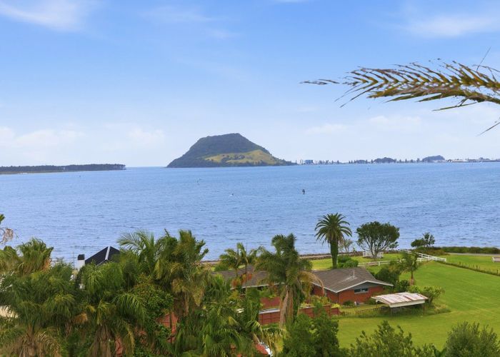  at 201 Ngatai Road, Otumoetai, Tauranga, Bay Of Plenty