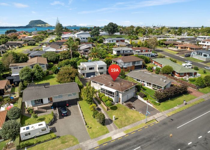  at 19A Tilby Drive, Matua, Tauranga