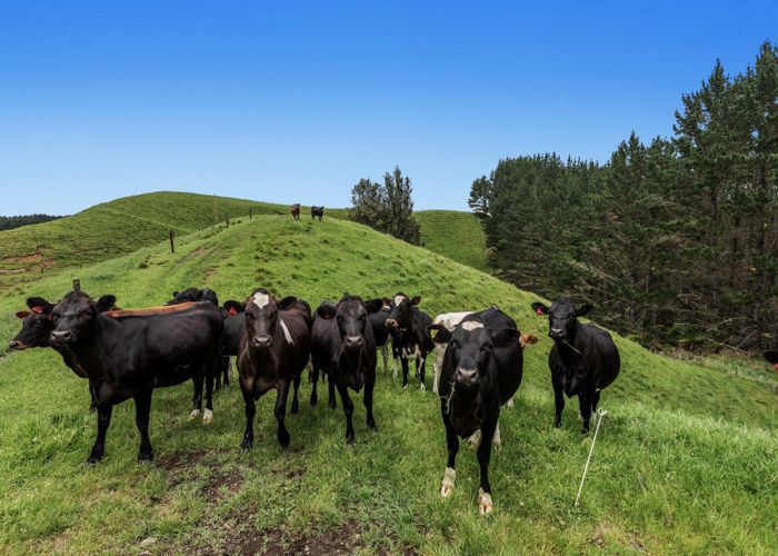  at 26 Settlement Road, Pikowai, Whakatane, Bay Of Plenty